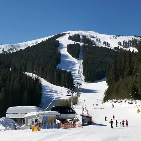 Forest Haven Retreat In * Bansko